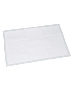 Disposable Bed Pads - Pack of 25