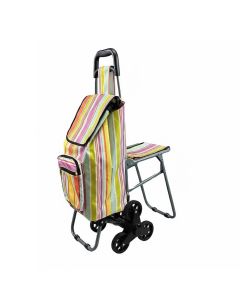 Shopping Trolley with Seat