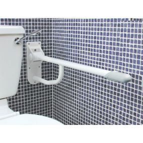 Toilet Support Rail