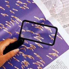 Folding Rectangular Magnifying Glass