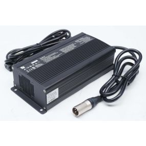 Economy Mobility Charger - 24 Volt (12 Amp)