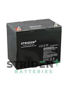 Advanced Carbon Gel Battery - 75Ah