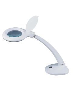 2 In 1 Daylight Magnifying Lamp